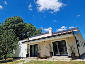 Villa DE Luna Istra